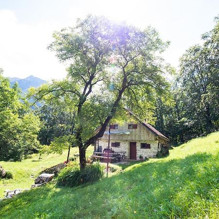 Miha Lodge - Mihcevo Plece Soča Dış mekan fotoğraf