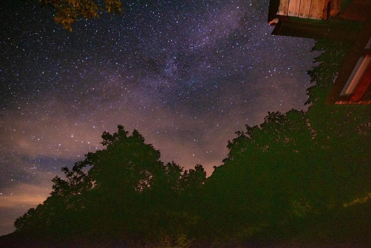 Miha Lodge - Mihcevo Plece Soča Dış mekan fotoğraf