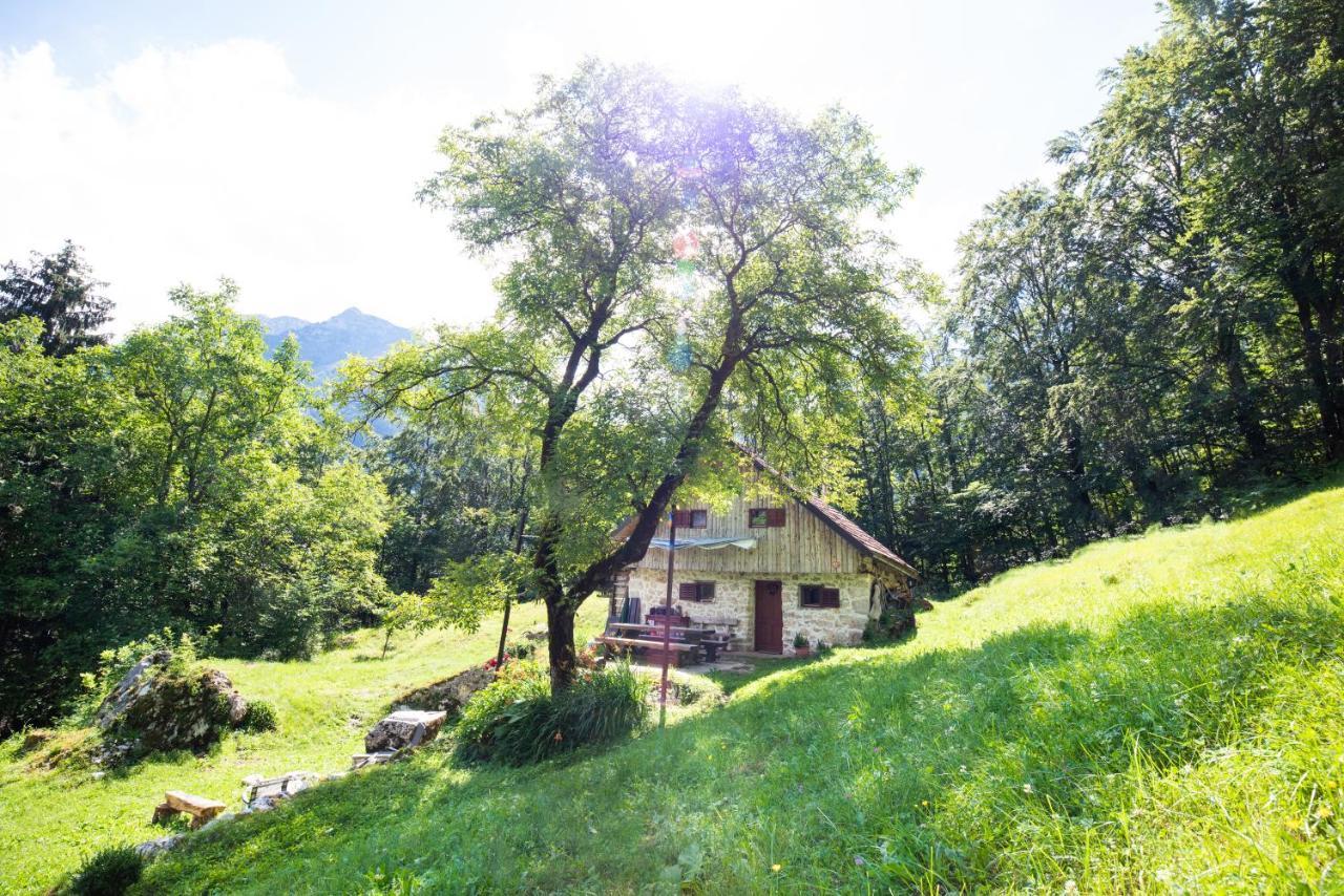 Miha Lodge - Mihcevo Plece Soča Dış mekan fotoğraf