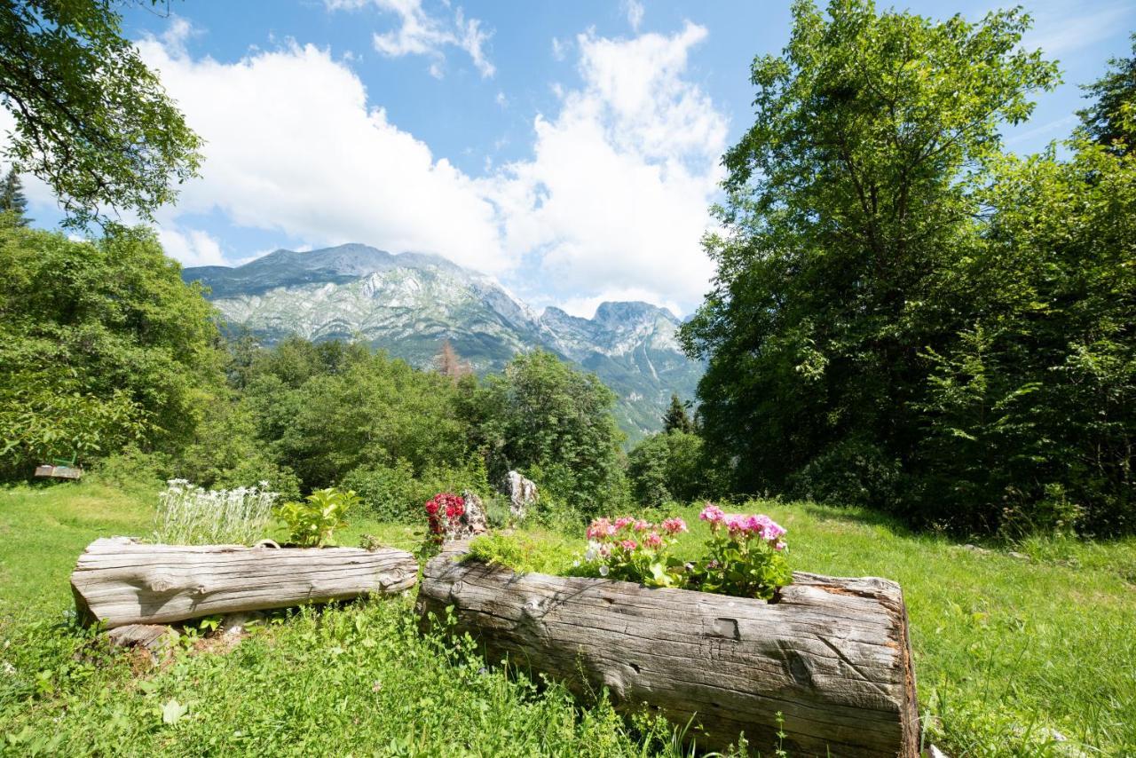 Miha Lodge - Mihcevo Plece Soča Dış mekan fotoğraf